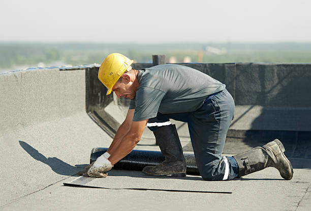 Best DIY Insulation Kits and Guidance in Mount Carmel, PA